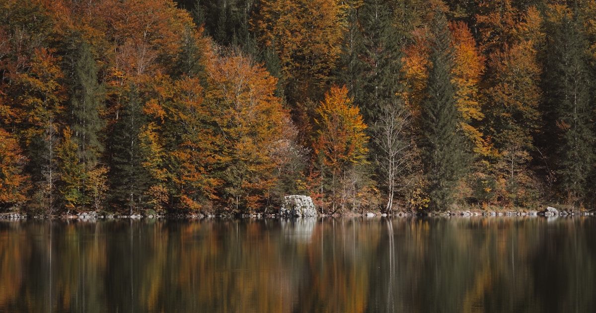 Vibrant Wilderness Shoreline