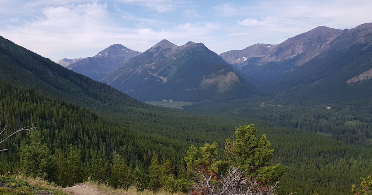 Southfork Lakes & Barnaby Ridge Crowsnest Pass