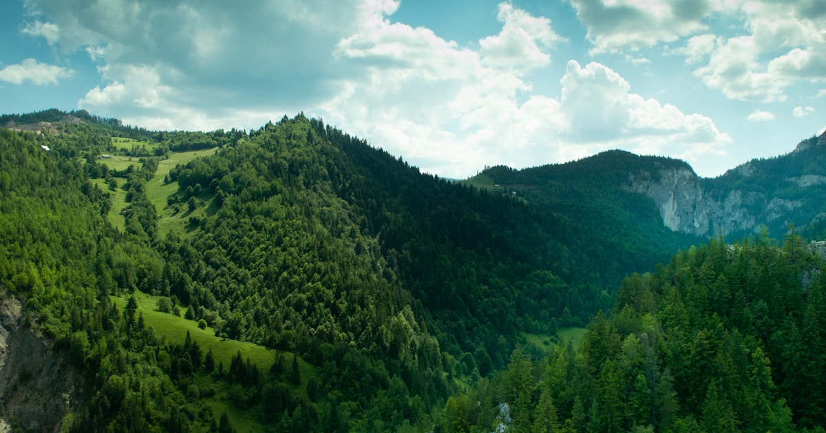a scenic view of a mountain with a valley in the foreground