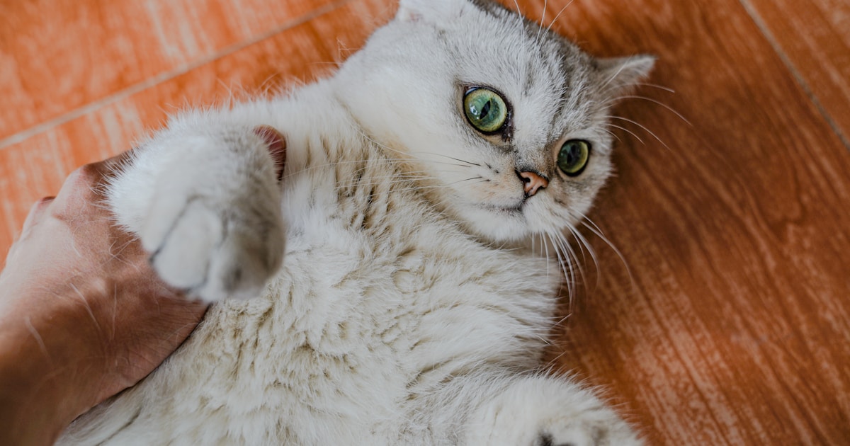 The Canadian in the Jasper’s station, waiting for entering the Rocky Mountains. /// Le Canadien en gare de Jasper, avant d’entrer dans...
Nov 8, 2025
![The Ultimate Guide to Heartfelt Husband Birthday Wishes: Making His Day Unforgettable