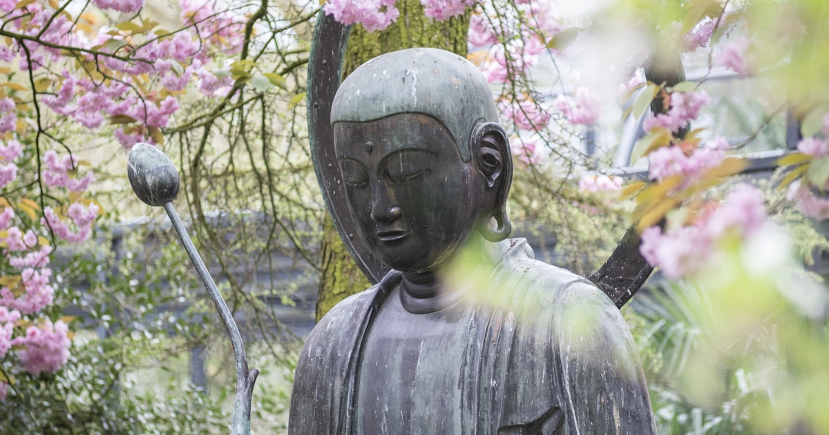Peaceful buddha statue in park, surrounded by trees with pink flowers. 