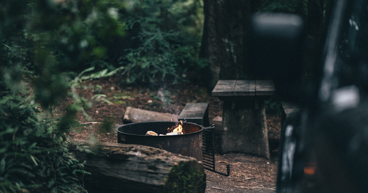 Crafting Perfect Happy 50th Birthday Wishes: A Comprehensive Guide