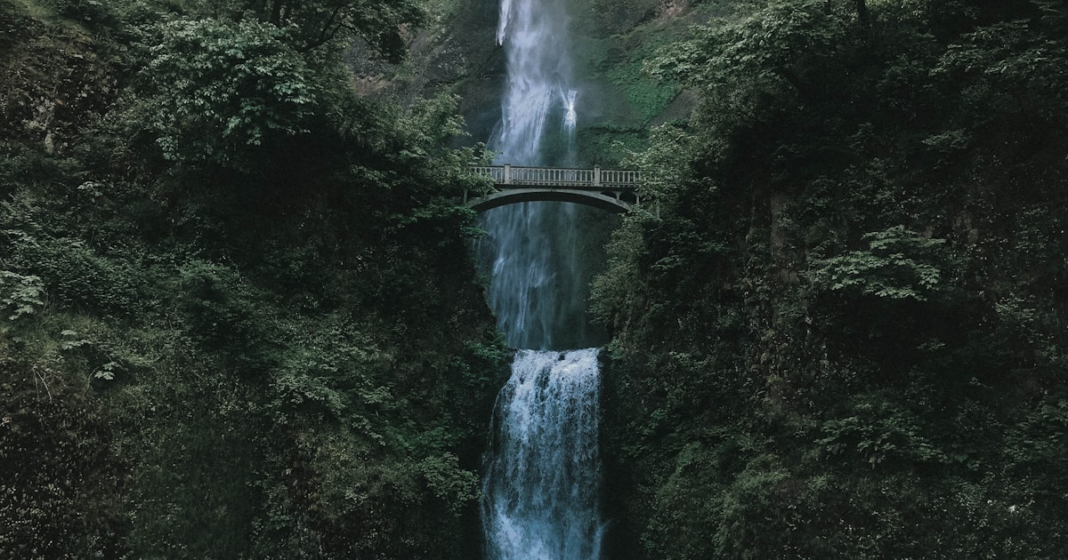 The Ultimate Guide to Crafting Perfect Happy Birthday Wishes for a Guy