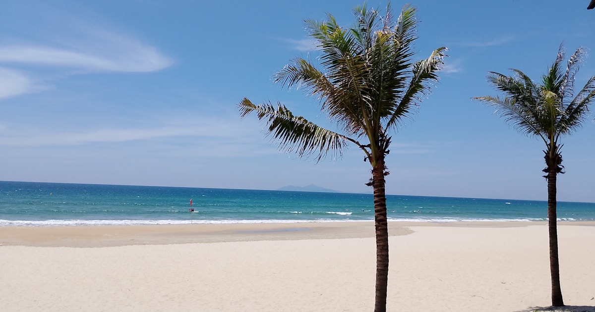 A beach with palm trees and the ocean in the background