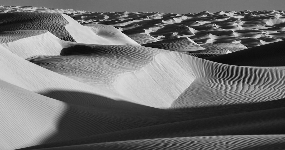 From Noise to Signal: How TradingLens - Professional Stock Market Intelligence Platform Delivers Institutional Insight in 20 Seconds