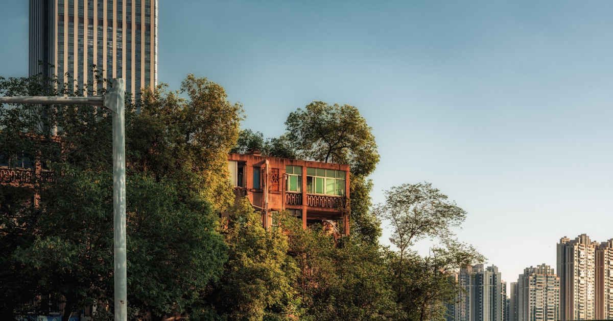 Modern building nestled amongst lush green trees