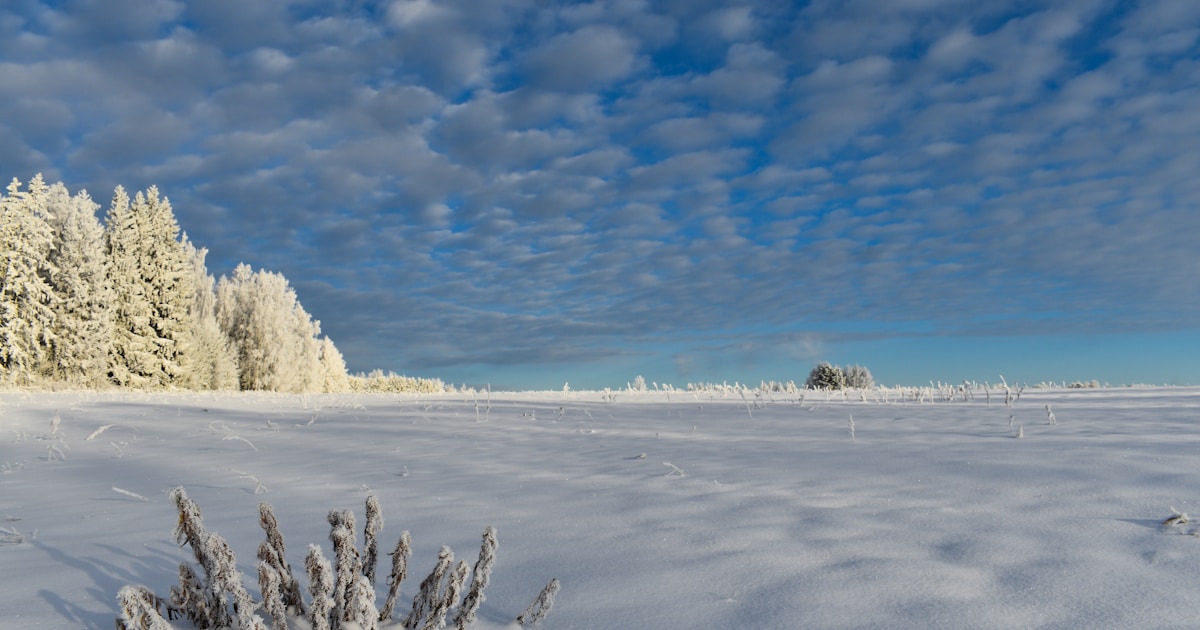 a snow covered field with trees and clouds in the background