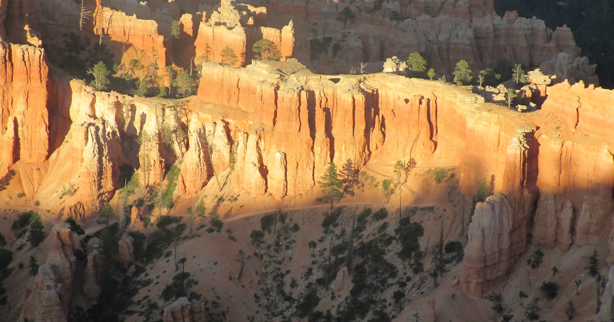 Crafting Authentic Heart Touching Birthday Wishes for Friend: A Complete Guide