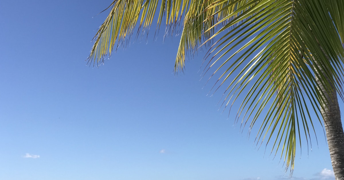 Why I Built YouTube to MP3 - Free Online YouTube Video to MP3 Converter: A Look at Speed and Quality