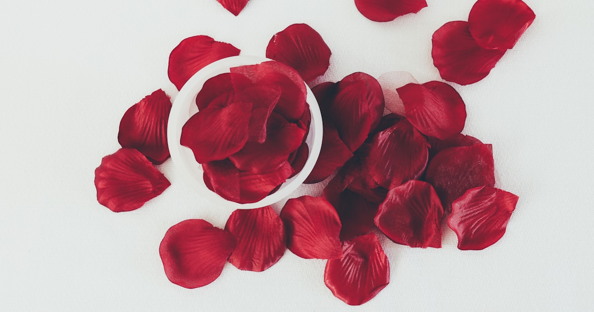 red rose petals on white surface