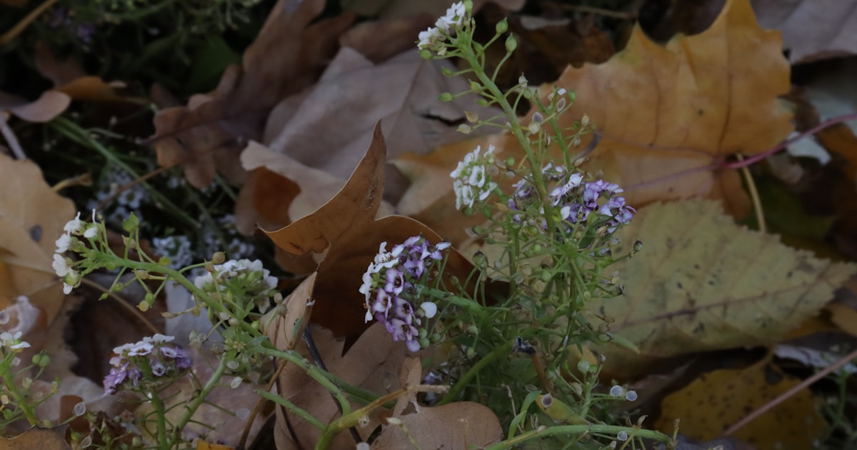 Stop Guessing: How Job Interview Questions Delivers Hyper-Targeted JD-Based Interview Prep