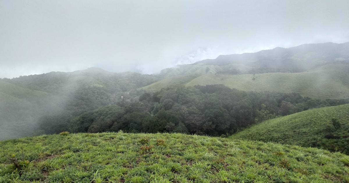 a grassy hill with trees and clouds in the background