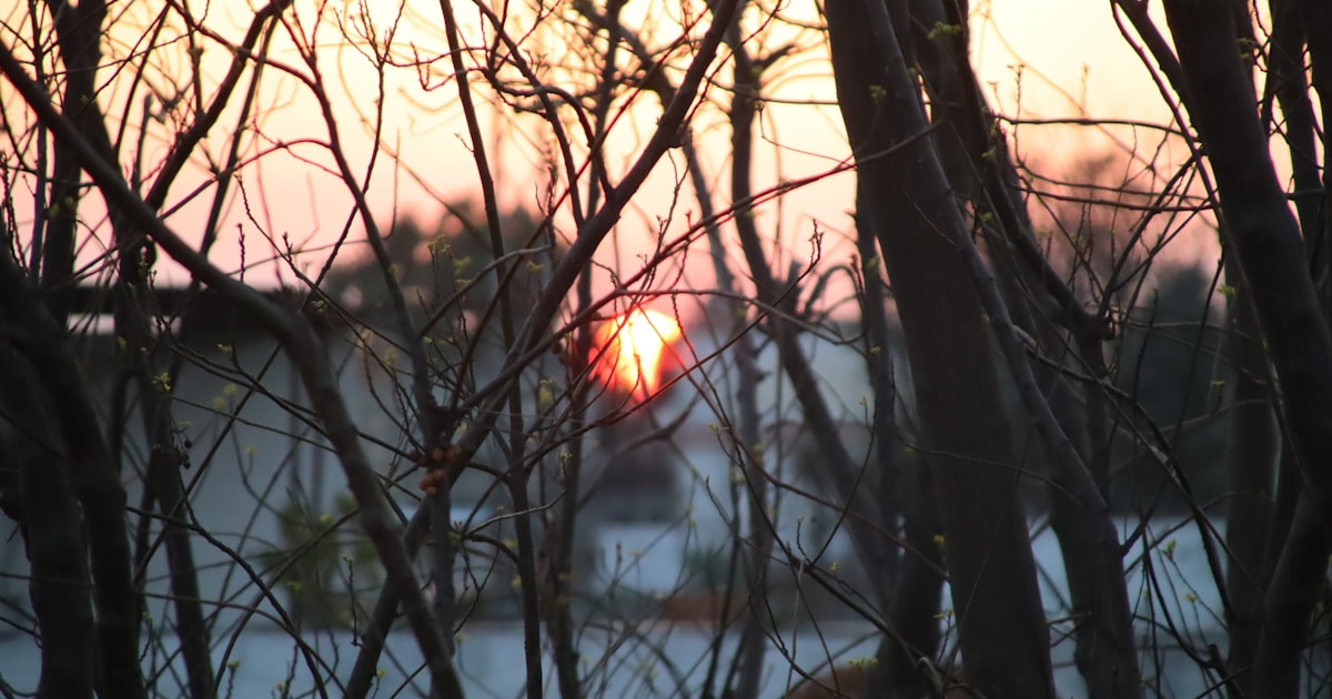 the sun is setting behind some trees