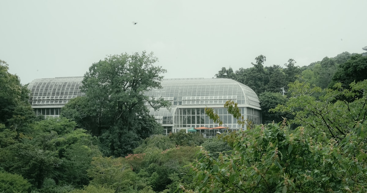 Glass building surrounded by lush green trees